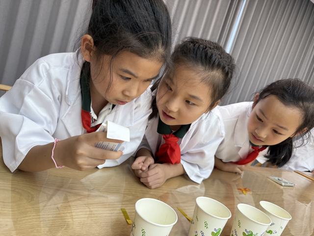 5461ea96-0916-4340-aacc-6593de4c63ab.jpg 5461ea96-0916-4340-aacc-6593de4c63ab.jpg