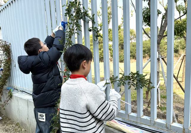 盛泽新城实验学校 植树节活动 (3).jpg 盛泽新城实验学校 植树节活动 (3).jpg