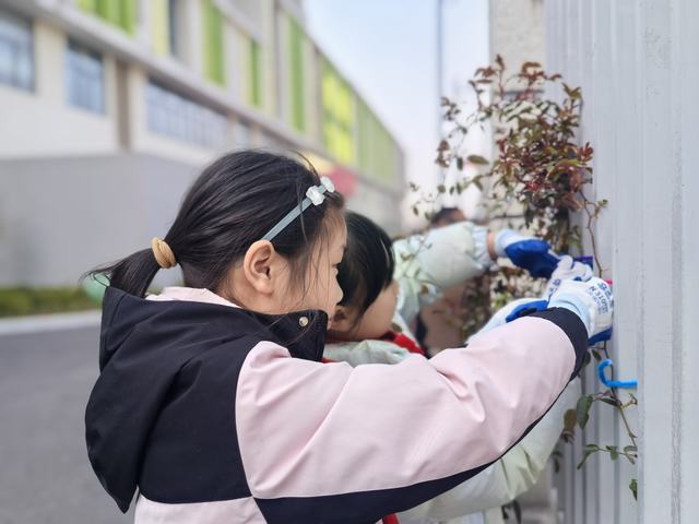 盛泽新城实验学校 植树节活动 (2).jpg 盛泽新城实验学校 植树节活动 (2).jpg
